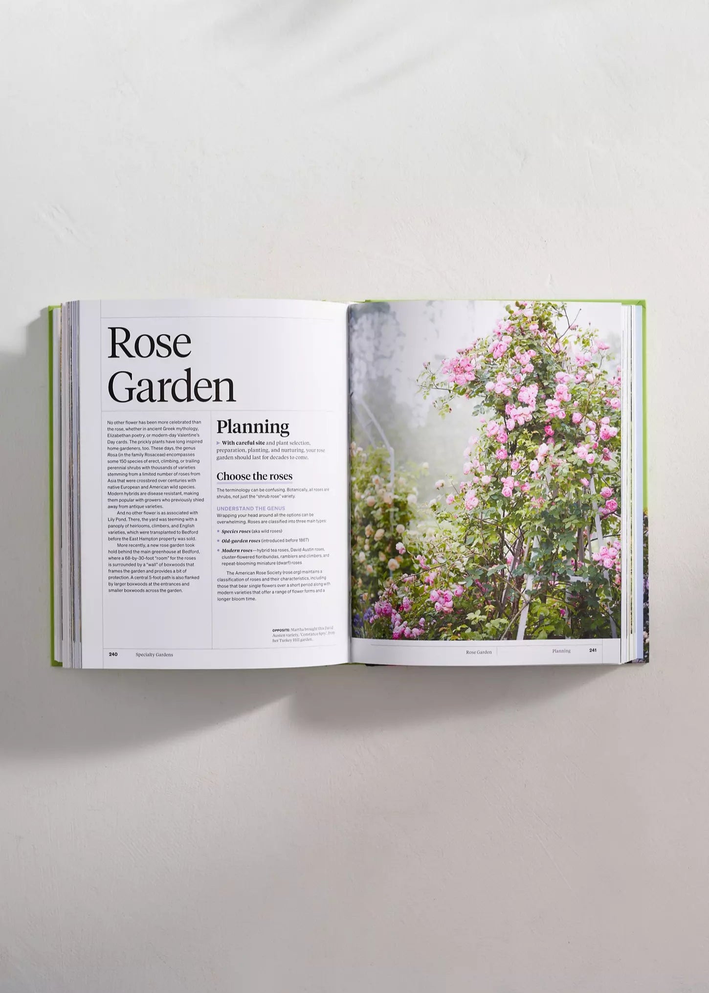 Martha Stewart’s Gardening Handbook