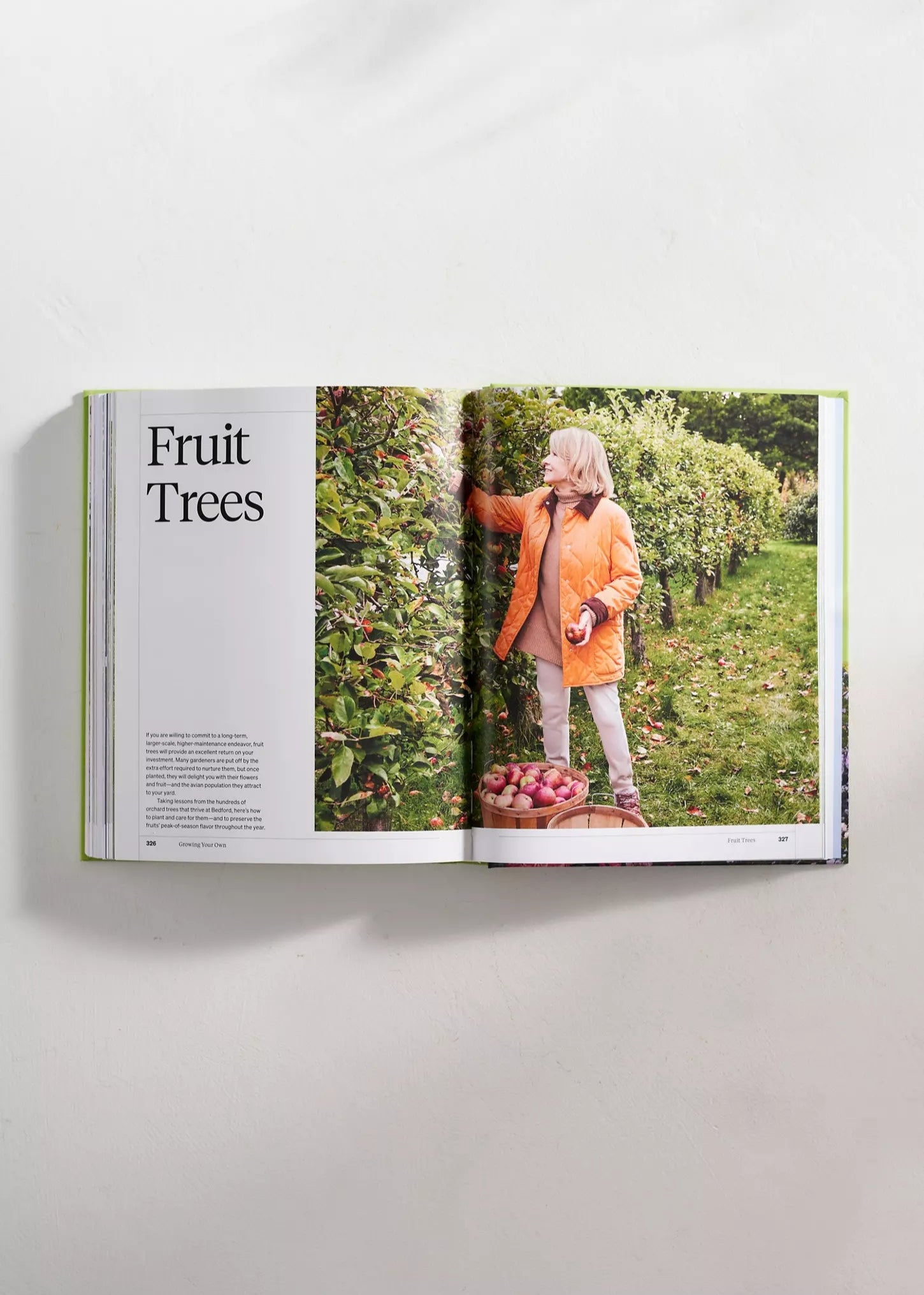 Martha Stewart’s Gardening Handbook