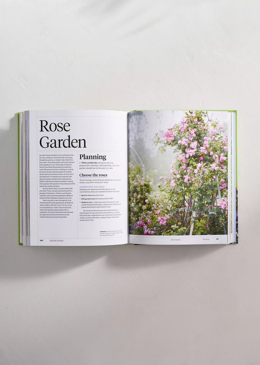 Martha Stewart’s Gardening Handbook
