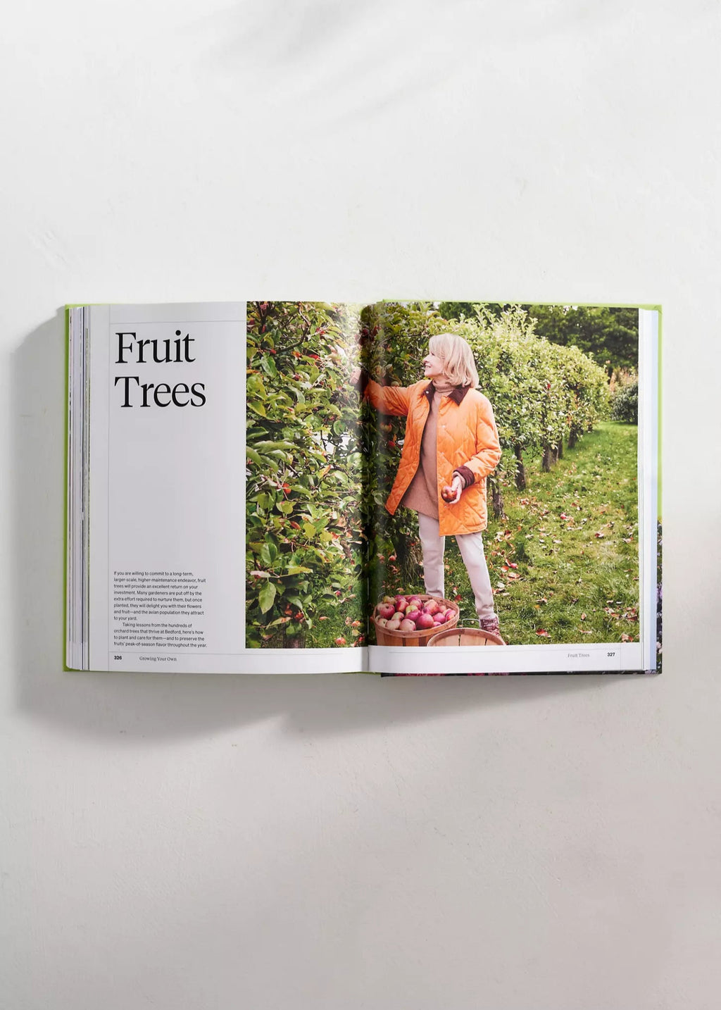 Martha Stewart’s Gardening Handbook